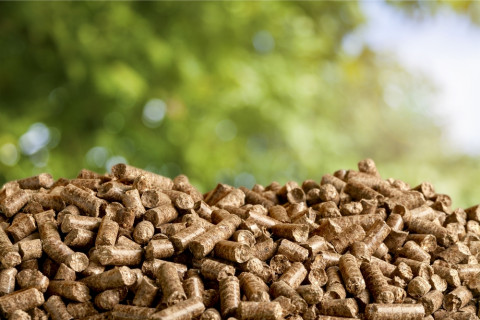 Energia biomasy – jak działa i jakie są jej źródła?